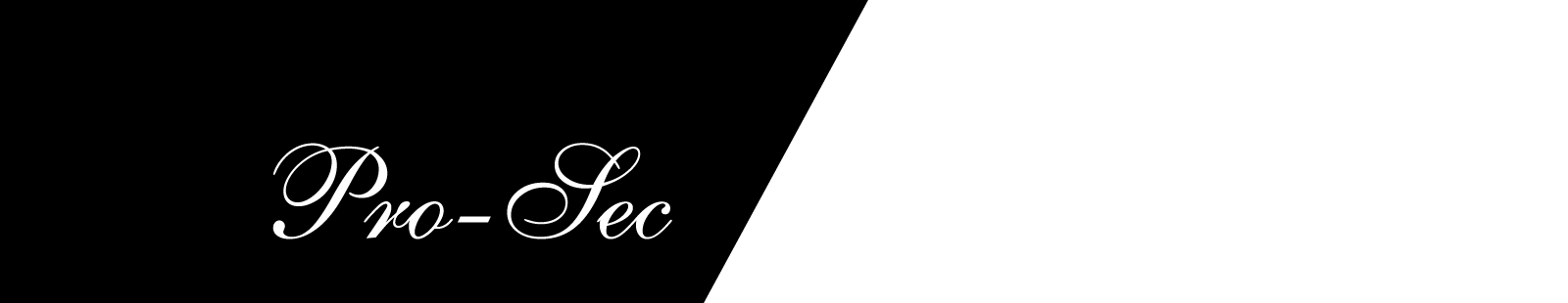 Pro-Sec 田中志保 Official Site